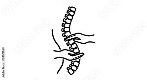 Chiropractic care: hands adjusting spine, health, wellness, pain relief, medical treatment