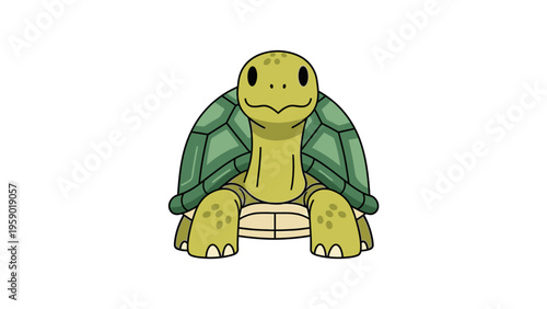 A vibrant orange goldfish with white fins against a clean white background.