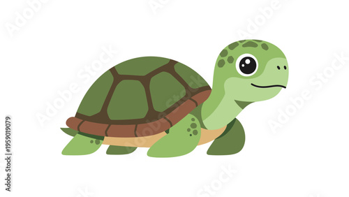 A vibrant orange goldfish with white fins against a clean white background.