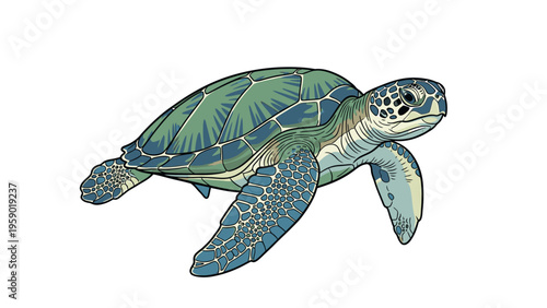 A vibrant orange goldfish with white fins against a clean white background.