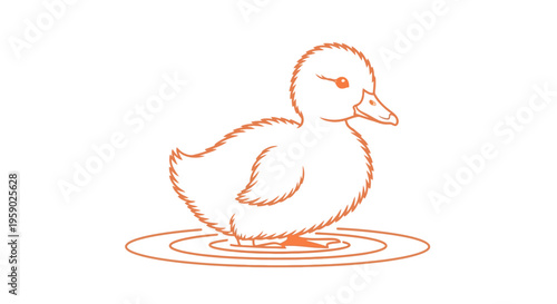 Simple orange duckling outline illustration standing in water