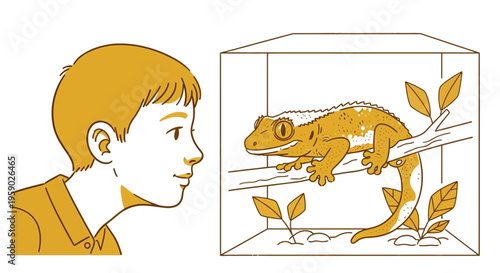 Boy watching pet gecko in a glass terrarium illustration