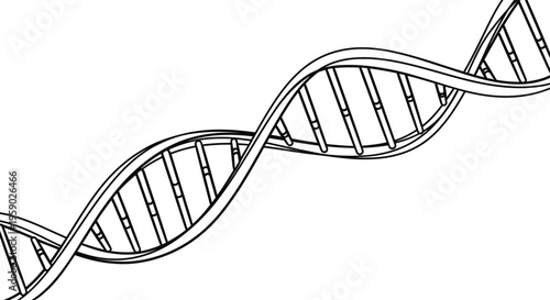 Black outline DNA double helix structure science illustration