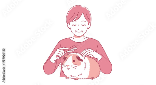 Adult person brushing pet guinea pig with a comb