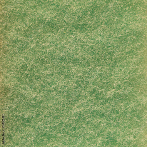 Green sponge macro closeup texture