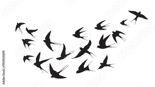 Swallows in flight, a flock of black silhouettes of these elegant birds soaring across a white background, depicting freedom and natural movement.