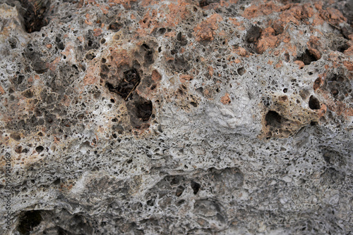 Cuadro en lienzo Close-up of Pumice Stone with Porous Texture