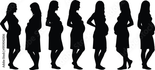 Pregnant women silhouettes collection showing different poses baby bump stages motherhood prenatal body shape vector illustration healthcare concept set