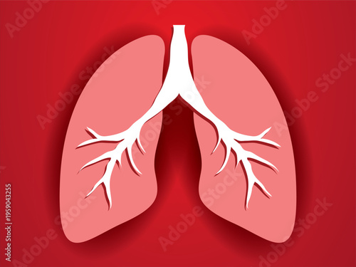 Human Lungs Anatomy Illustration Medical Respiratory System Concept