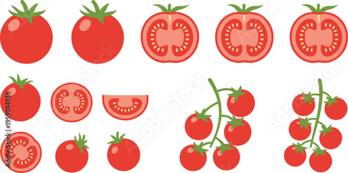 Tomato Vector Set with Whole, Sliced, and Cherry Tomatoes on Vine Featuring Fresh Vegetable Illustrations for Food Design and Healthy Nutrition