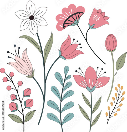 Colorful floral vector illustrations, pink and white flowers, botanical elements, decorative plants