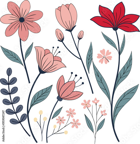 Floral vector illustrations, pink and red flowers, botanical designs, decorative plant elements