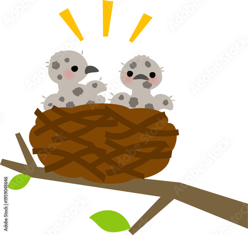 鳥の巣の中の灰色の雛鳥