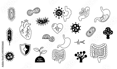 A collection of black and white vector illustrations depicting various bacteria and human organs related to gut health and microbiome