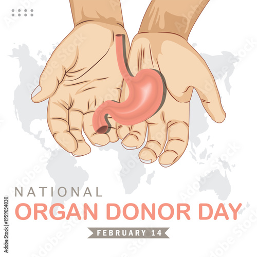 National Organ Donor Day illustration with human stomach in hands on world map background healthcare awareness concept for organ donation February 14.