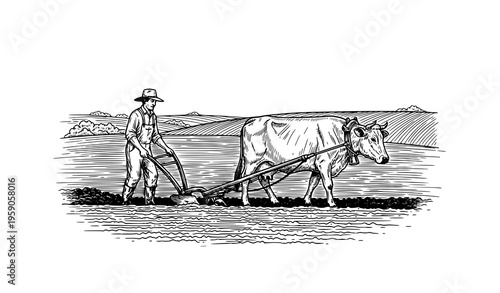 Farmer plowing field with cow traditional agriculture work rural landscape black and white vector illustration