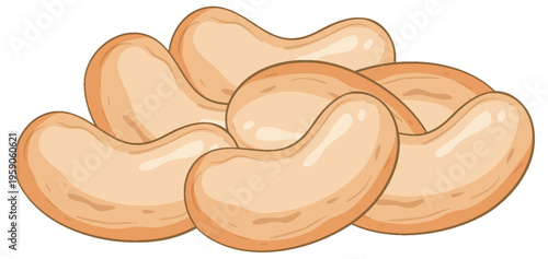 Hand Drawn Vector Illustration of White Kidney Beans