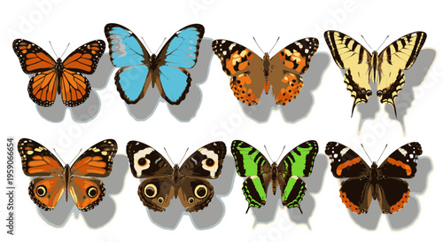 High-angle shot of a diverse group of colorful butterflies on a white background with a clean and minimalist composition.
