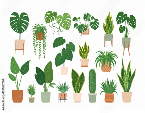 Collection of various potted houseplants including monstera and snake plants in stylish planters