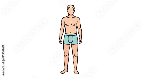 Man in Underwear, Full Body Shot, Isolated on White Background