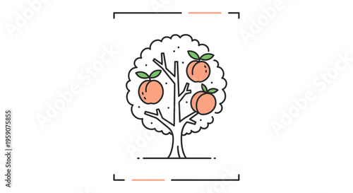 Simple Line Art Icon of a Peach Tree with Three Ripe Peaches and Green Leaves
