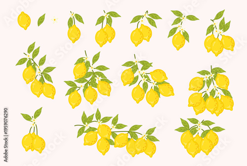 Set of hand-drawn lemon branches with fruits, leaves, and flowers