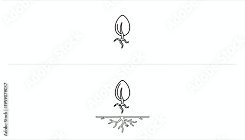 Seedling Growth: From Sprout to Rooted Plant Icon