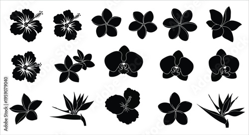 Black silhouettes of various tropical flowers hibiscus orchids
