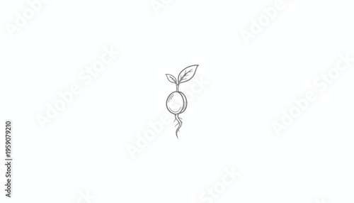 Seedling sprouting with roots and leaves, symbolizing growth and new beginnings, isolated on white.