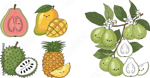 Tropical fruits vector set with guava mango pineapple soursop and fresh organic fruit illustrations for healthy food design
