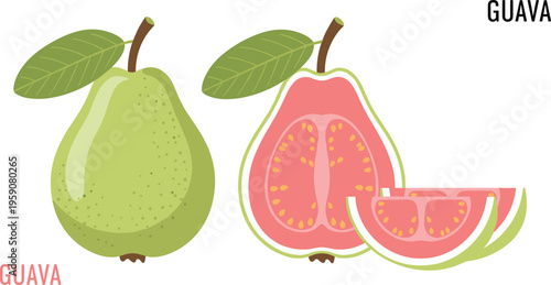 Guava fruit vector illustration with whole and sliced guava fresh tropical fruit healthy food design element