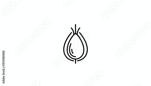 Minimalist Onion Icon, Simple Line Art, Food Ingredient Symbol, Vector Graphic