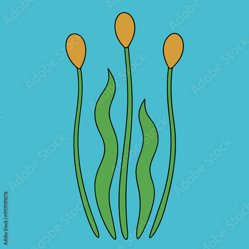Vector cattail, bulrush, or reed illustration, simple flat design elements, green and orange, aquatic plants, icons or graphics