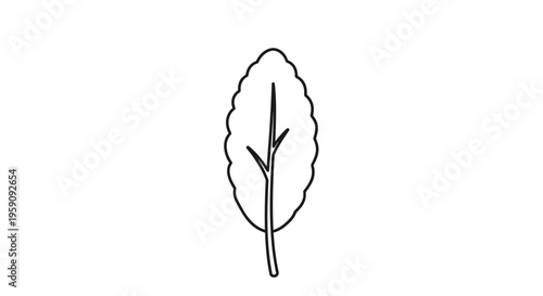 Simple Outline Leaf with Stem and Veins - Minimalist Nature Element