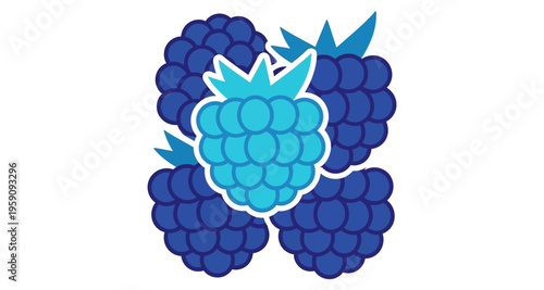 Blue and Purple Blackberries Minimalist Illustration Healthy Fruit Food Isolated