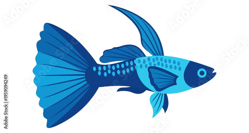 Blue Guppy Fish Swimming Isolated White Background Aquatic Life Detailed Fins