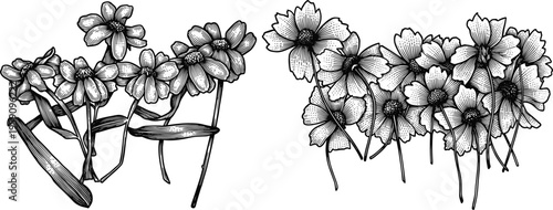 Flowers in bouquets and separate branches vector illustration nature concept