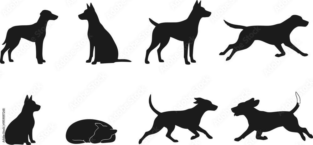Fototapeta premium Set of eight black vector dog silhouettes featuring various breeds in active poses like running sitting and sleeping for pet industry graphic designs