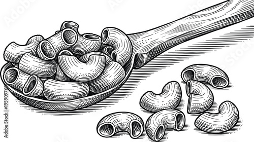Macaroni pasta in wooden spoon and scattered vintage engraving sketch