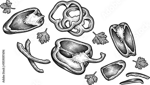 Bell pepper slices and parsley leaves monochrome woodcut illustration