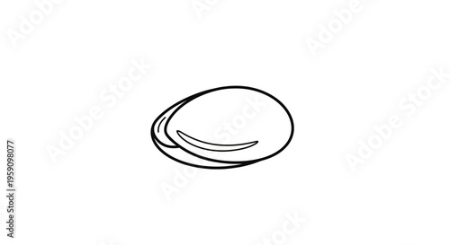 Simple Line Drawing of a Clam Shell