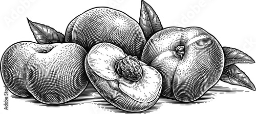 Whole and cut peaches with leaves in a detailed vintage woodcut style