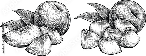 Ripe peach fruit and sliced pieces hand drawn vintage engraving art