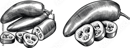 Jalapeno pepper engraving set with whole fruit and spicy slices icon