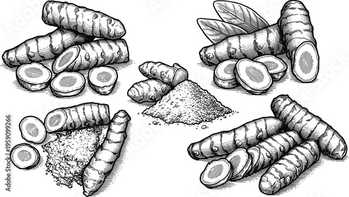 Turmeric root and powder heap hand drawn vintage woodcut style set