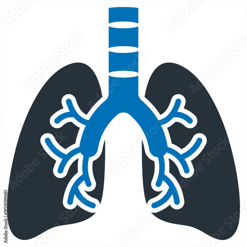 Lungs