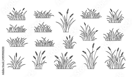 A set of minimalist vector illustrations of various cattail plants in black and white