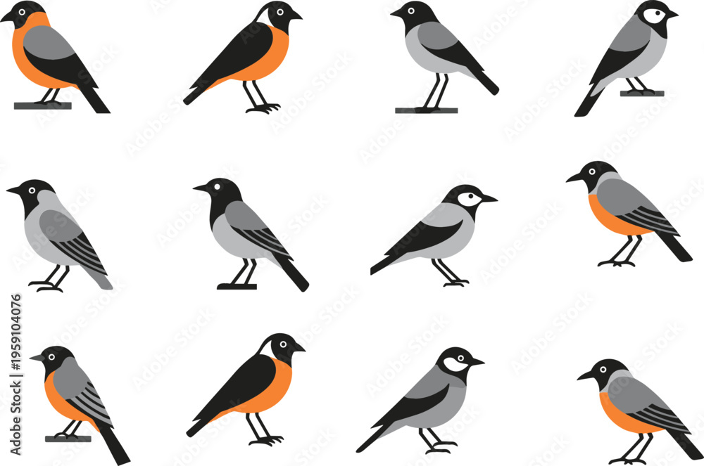 Fototapeta premium Small bird vector set with different species and poses, flat illustration collection of songbirds in minimal style isolated on white background