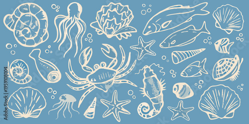 A collection of hand drawn marine life and seashells on blue background