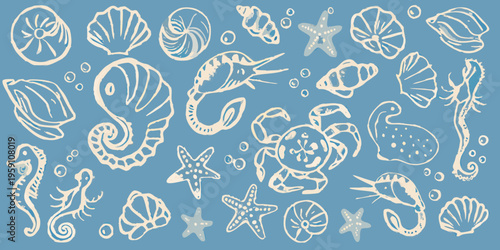 Delicate illustration of various seashells starfish and marine life